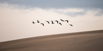 A partir del pr�ximo lunes comienzan a aumentar las temperaturas en todo el pa�s