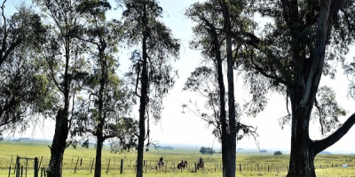 Estanciero le dispar� en la cabeza a su esposa y se quit� la vida