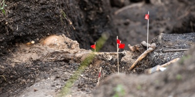 Revelan un nuevo hallazgo de restos �seos en el Batall�n 14