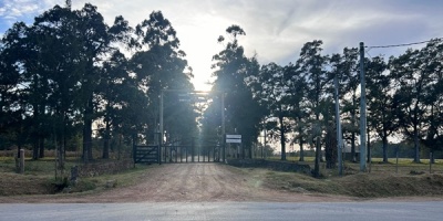 Encontraron un cr�neo entre los restos hallados en Batall�n 14