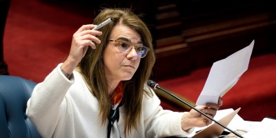 �Mi humilde intenci�n es dar luz en un sistema que est� fallando�, dijo senadora del FA por la interpelaci�n a Inau y Mides