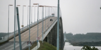 Se registraron cientos de peces muertos en las costas del R�o Uruguay, R�o Negro y R�o de la Plata 