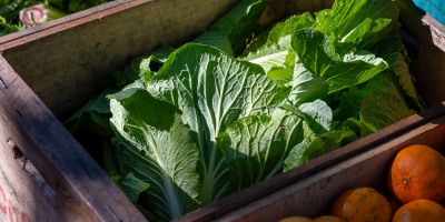 �Cu�les son las frutas y verduras recomendadas por la UAM por su relaci�n calidad-precio?