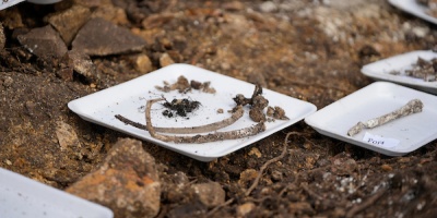 Restos fueron enviados a C�rdoba para ser cotejados