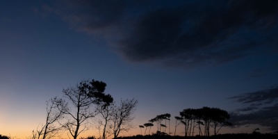 Part�culas de humo siguen cubriendo todo el territorio nacional