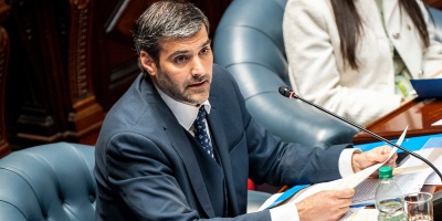 Martinelli: "Nadie tiene la varita m�gica para solucionar estas cosas de un d�a para el otro�