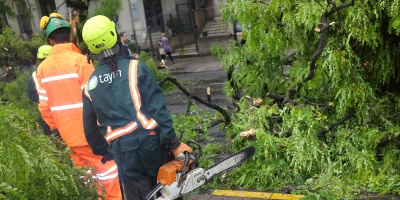 En Uruguay "hay una baja percepci�n de riesgo de desastres", afirm� el director del Sinae