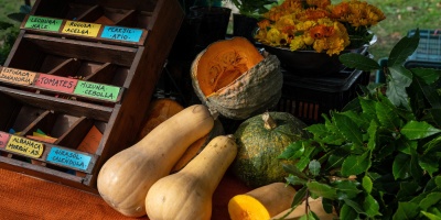 Alimentaci�n adecuada y saludable es �clave� para prevenci�n y control de enfermedades, se�al� Salud P�blica