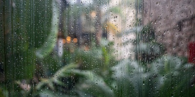 Contin�an los trabajos de remoci�n de ramas y atenci�n a la poblaci�n en Paysand�