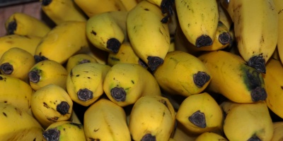 Los uruguayos consumen diariamente menos frutas y verduras de lo recomendable 