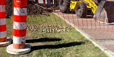 Investigan restos �seos enterrados en las inmediaciones del Museo Oceanogr�fico de Buceo: pertenecen -al menos- a 5 personas