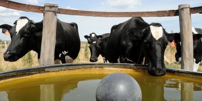 Desde el Ministerio de Ganader�a no esperan que haya una sequ�a como la del a�o pasado