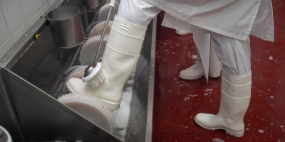 Director de Trabajo dijo que el ministerio "no puede hacer nada" para desactivar conflicto en el sector c�rnico tras resoluci�n del Ejecutivo