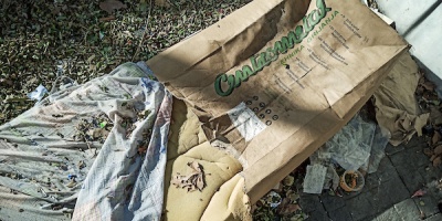 Am�rica Latina y el Caribe avanzan fuerte en lucha contra el hambre