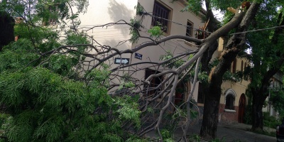 El pico m�ximo de clientes de UTE que quedaron sin servicio como consecuencia del temporal alcanz� los 40.000