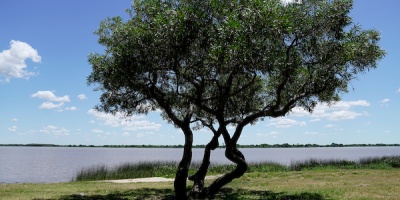 Argentina baj� licitaci�n para concesi�n de hidrov�a