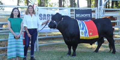 Viajar�n a China los tres toros obsequiados por Luis Lacalle Pou a Xi Jinping
