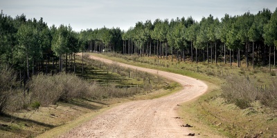 Desde la Asociaci�n Nacional de Control y Participaci�n Ciudadana, denuncian que existen irregularidades en la caminer�a rural