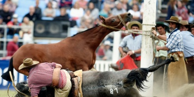 Presidente Orsi posterg� aplicaci�n de nuevo reglamento de jineteadas