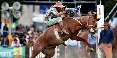 La Criolla del Prado se cumplir� con el reglamento sobre jineteadas que fuera -recientemente- supendido por el Gobierno