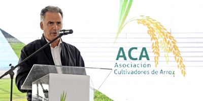 El presidente Yamand� Orsi se�al� que la producci�n de arroz �es fundamental� y �una escuela de desarrollo para el pa�s�