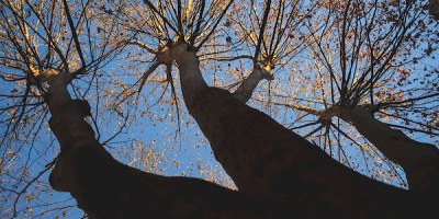 Esta tarde podr�an registrarse algunos episodios aislados de lluvia