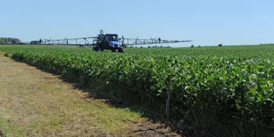 La "zona ncleo" del sector agrcola estival, puede llegar superar los 3.000 kg de soja 