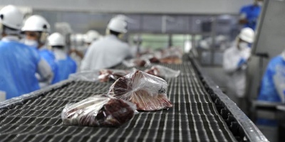 Federacin Rural rechaza propuesta de importar ganado en pie