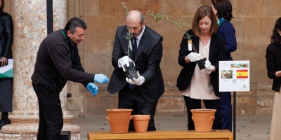Plantan una veintena de olivos que crecern en la Alhambra como smbolo de paz en el Mediterrneo