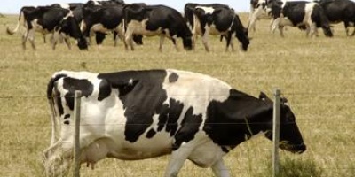 Calcar deja deudas por ms de 3 millones de dlares con productores