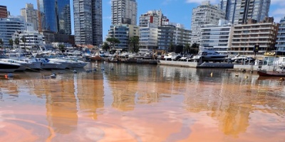 Maldonado: Estudian mancha marr�n en el agua del Puerto de Punta del Este