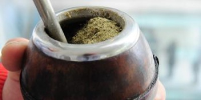 Tomar mate es como beber agua?