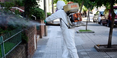 Cecoed de Montevideo aumenta controles y recomendaciones tras caso de dengue autctono en Paysand 