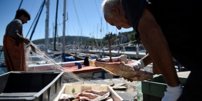 Abastecimiento de pescado en el Viernes Santo est asegurado