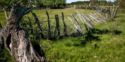Conozca el pron�stico del tiempo para el pr�ximo jueves 1� de Mayo