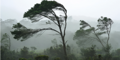 SINAE realiz una serie de recomendaciones ante la ocurrencia de tormentas