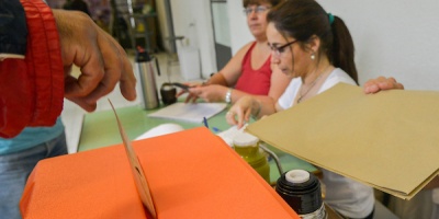 Quines son los nuevos intendentes?