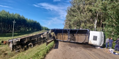 Un camin con zorra que transportaba ganado volc en la ruta 26