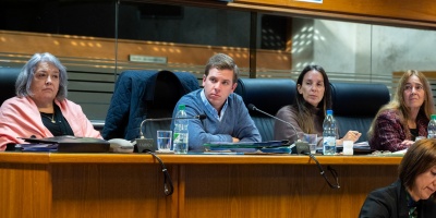 Proponen que el Estado ponga cuatro millones de dlares para asistir la Caja de Profesionales