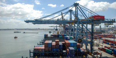 Pese al panorama internacional las exportaciones en Uruguay vienen creciendo