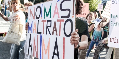 ONG sanducera convoca a una marcha para que el maltrato animal sea tipificado como delito penal