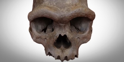 Se confirma el origen denisovano del crneo de Harbin, un antiguo linaje homnido