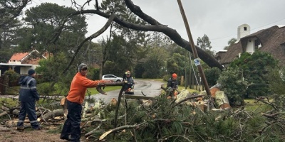 Continan los trabajos de mantenimiento tras los vientos fuertes 