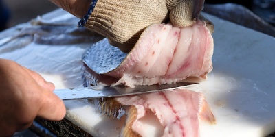 Contina el conflicto en el sector de la pesca