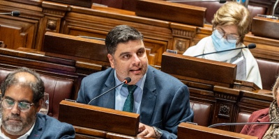 Buscan establecer sanciones penales para las personas que den muerte o comentan crueldad contra animales