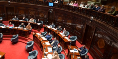 El Parlamento acord un proyecto nico para salvar la Caja de de Profesionales