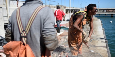 Los trabajadores de laa plantas de procesamiento de pescado siguen en conflicto y reclaman por soluciones, al sistema politico 