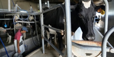 La C�mara de la Industria l�ctea apoya la compra de la estancia Mar�a Dolores