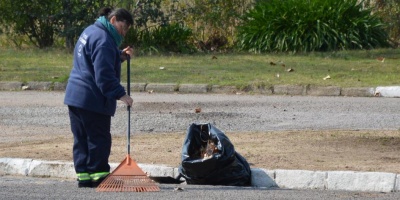 Se present� un proyecto de Ley con un programa que sustituye a los Jornales Solidarios