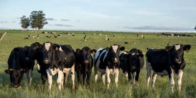 El alza del gasoil tiene un afn recaudador y es un baldazo de agua fra para el sector agropecuario, denunci la Federacin Rural 